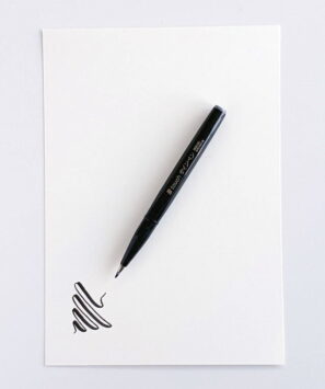 Pentel Brush Sign Pen Twin