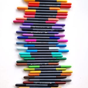 Staedtler Double-Ended Watercolour Brush Pens